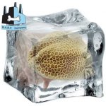 B.A.R.F. Company Hovězí vemeno se zeleninou 0,4 kg – Zboží Mobilmania