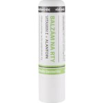 MedPharma Balzám na rty s vit,E a alantoinem 4,8 g – Zboží Dáma