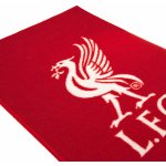 Fan shop LIVERPOOL FC červený – Zboží Dáma Fan shop LIVERPOOL FC červený – Zboží Dáma