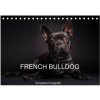 Kalendář French Bulldog TischDIN A5 quer CALVENDO Monats 2024