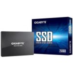 Gigabyte 256GB, SSD, GP-GSTFS31256GTND – Sleviste.cz