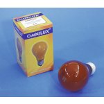 Omnilux 230V 25W E27 A19 oranžová – Hledejceny.cz
