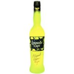 Molinari Limoncello di Capri 30% 0,7 l (holá láhev) – Hledejceny.cz