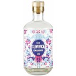 Tōsh Slivovica Jednodruhová 46% 0,5 l (holá láhev) – Sleviste.cz