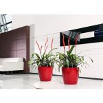 Lechuza Classico LS 43 cm antracit – Hledejceny.cz