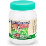 Everest Ayurveda Shukraprash 200 g – Hledejceny.cz