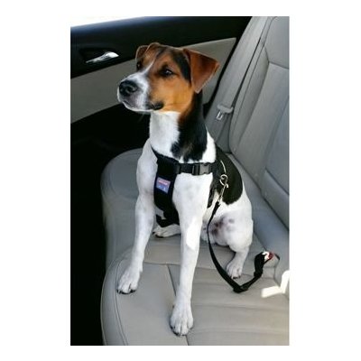 Zolux Postroj pes Bezpečnostní do auta human S – Zboží Mobilmania