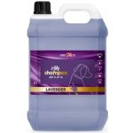 Cobbys Pet Aiko LAVENDER SHAMPOO 5L – Zboží Dáma