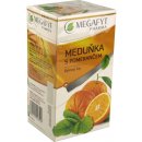 Megafyt Ovocný Meduňka s pomerančem 20 x 2 g