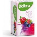 Biogena Fantastic Tea Lesní plody 20 sáčků