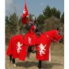 Karnevalový kostým Outfit4Events Čabraka rytířský varkoč a korouhev bílý lev na červeném poli