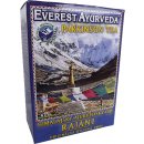 Everest Ayurveda RAJANI Mozkové poruchy 100 g