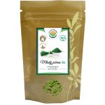 Salvia Paradise Mladý zelený ječmen BIO 1 kg – Hledejceny.cz