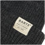 Barts zimní čepice Kinabalu beanie Dark Heather – Hledejceny.cz