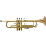 Vincent Bach LR190-43B – Zboží Dáma