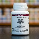 Sinecura kustovnice Goji gouqizi 20 g instantní prášek – Hledejceny.cz