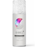 Sibel Hair Colour barevný sprej na vlasy stříbrné třpytky – Hledejceny.cz