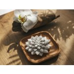White Orchid aroma kámen Sukulent – Hledejceny.cz