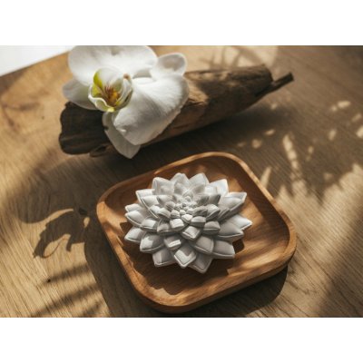 White Orchid aroma kámen Sukulent – Hledejceny.cz