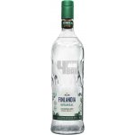 Finlandia Botanical Cucumber & Mint 30% 1 l (holá láhev) – Hledejceny.cz