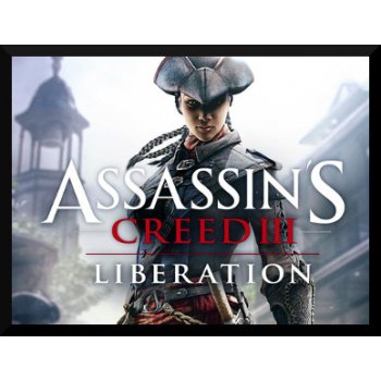 Assassin's Creed 3 Liberation HD