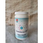 Biomineral CALC SULPH tyrkysová 180 tablet/90 g tkáňová sůl – Hledejceny.cz