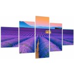 Obraz - Levandulové pole, pětidílný 125x70 cm – Hledejceny.cz