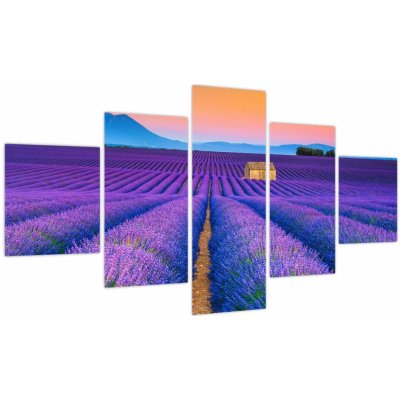 Obraz - Levandulové pole, pětidílný 125x70 cm – Hledejceny.cz