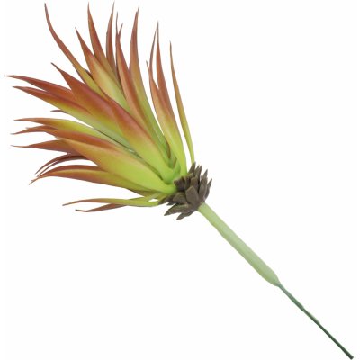 Umělá rostlina Agave červené 18 cm