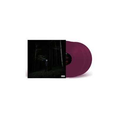 Destroy Lonely - If Looks Could Kill / Purple LP – Zboží Mobilmania