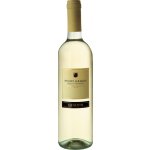 Lenotti Pinot Grigio Delle Venezie 12,5% 0,75 l (holá láhev) – Hledejceny.cz