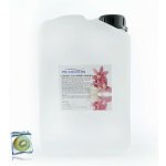 PM Aqualog esence do parních kabin ledové kiwi 920-003/D 3 l – Hledejceny.cz