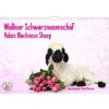 Kalendář Walliser Schwarznasenschaf Valais Blacknose Sheep Wand DIN A4 quer 2023