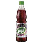 Jupí Ovocný sirup černý rybíz 0,7 l - PET – Sleviste.cz