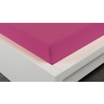 Xpose Jersey prostěradlo Exclusive nachové 90x200 – Sleviste.cz