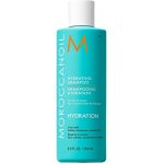 Moroccanoil Hydrating Shampoo 250 ml – Hledejceny.cz