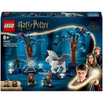 LEGO® Harry Potter 76432 Zakázaný les: kouzelná stvoření – Sleviste.cz