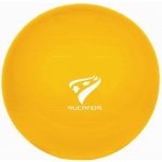 Rucanor Gym ball 45 – Sleviste.cz