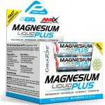 Amix Magnesium Liquid Plus 20 x 25 ml pineapple – Hledejceny.cz