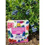 Agro Kristalon borůvky a rododenrony 0,5 kg – Sleviste.cz