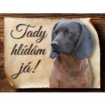 Sport hobby Cedulka Bavorský barvář Tady hlídám já 20 x 15 cm – Hledejceny.cz