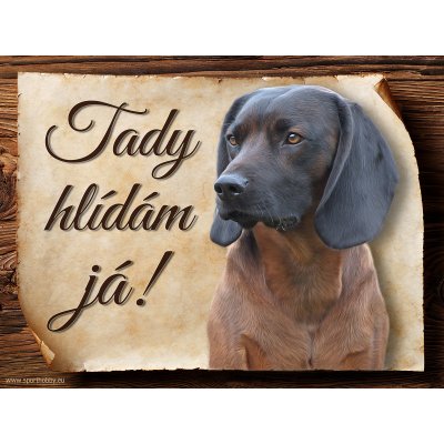 Sport hobby Cedulka Bavorský barvář Tady hlídám já 20 x 15 cm – Hledejceny.cz