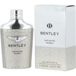 Bentley Infinite Rush toaletní voda pánská 100 ml – Hledejceny.cz