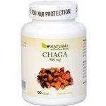 Natural Medicaments Chaga 500 mg 90 kapslí – Hledejceny.cz