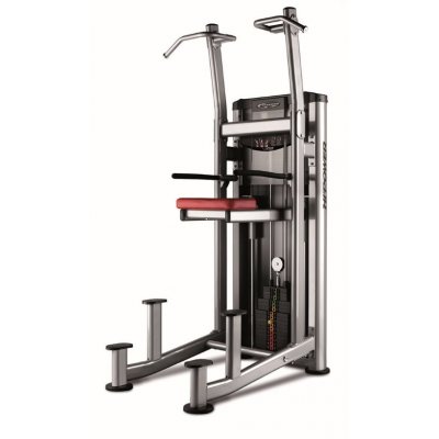 BH Fitness L450