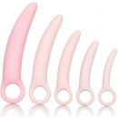 California Exotic Novelties Inspire Silicone Dilator Kit