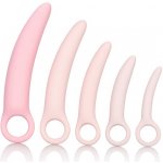 California Exotic Novelties Inspire Silicone Dilator Kit – Hledejceny.cz