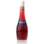 Bols Cherry 24% 0,7 l (holá láhev) – Zboží Dáma