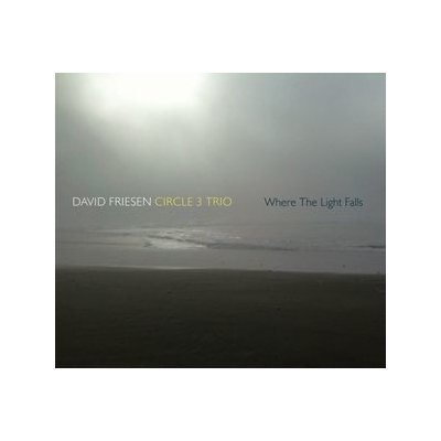 Where The Lights Fall - Friesen, David -circle 3 CD – Zbozi.Blesk.cz