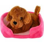 Teddies Zvířátko pejsek v pelíšku 4 barvy 22x24 cm – Sleviste.cz
